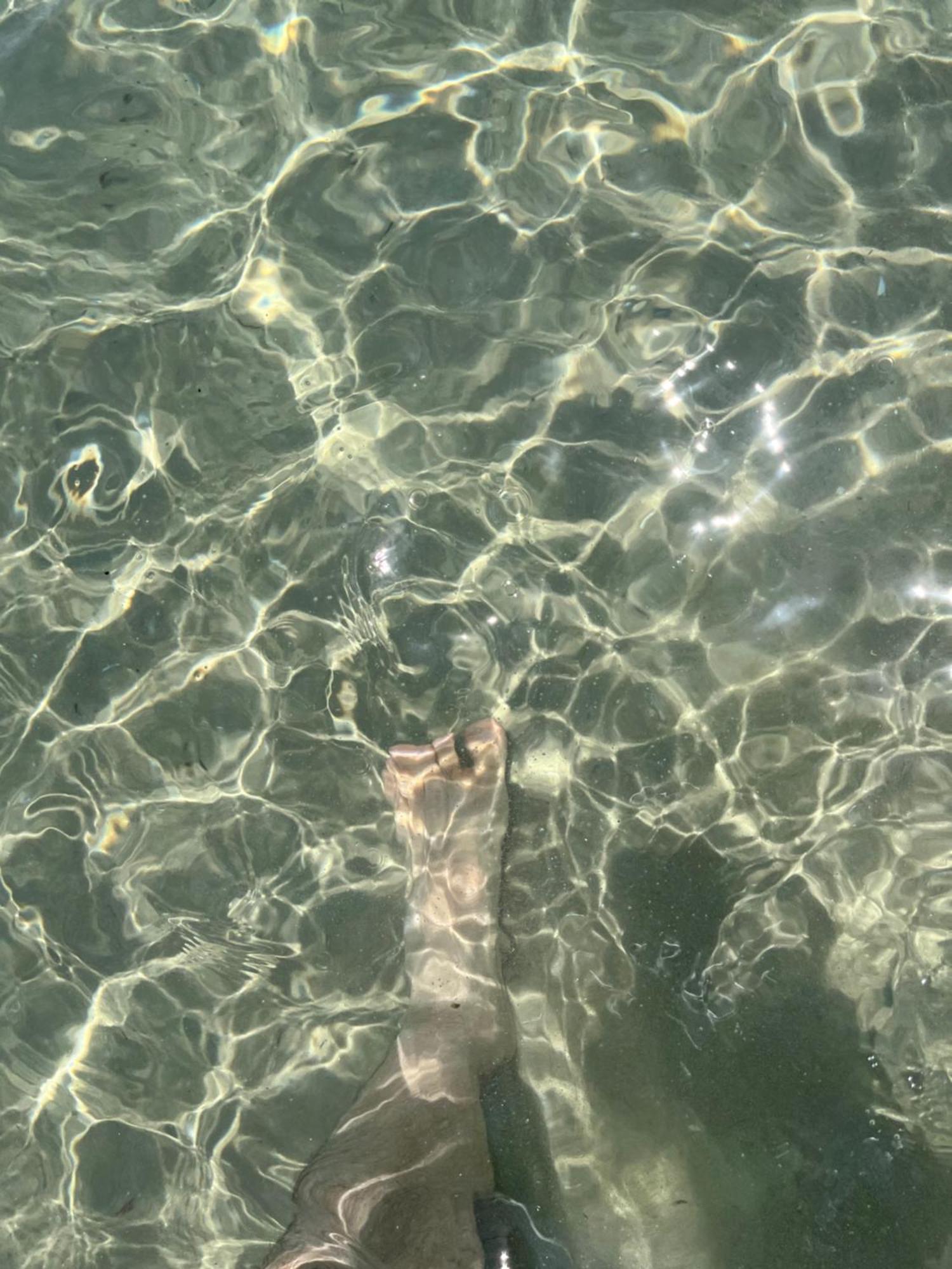 Fantastico, Piscina Vista Mar Florianopolis